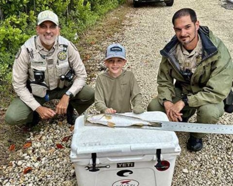 Florida anglers set 18 saltwater fishing records in 2025, including 12 youth achievements