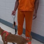 Delaware County, Pennsylvania inmates prepare for life after jail by training rescue dogs
