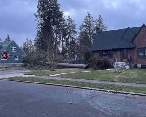 Winds exceed 80 mph in the Inland NW, knocking down trees and power lines