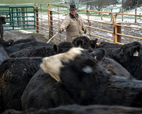 Bit by bit, small US groups chip away at historic levels of social isolation