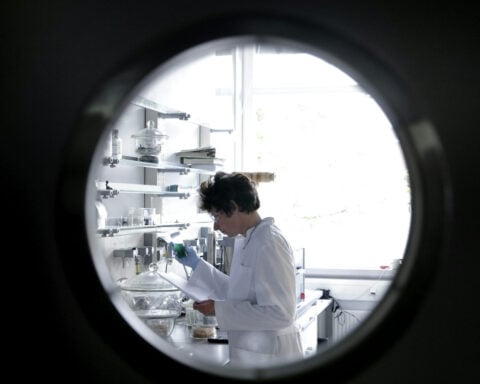 ‘This year nearly broke me as a scientist’ – US researchers reflect on how 2025’s science cuts have changed their lives