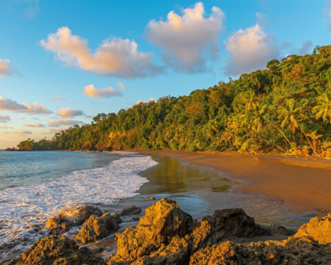 Behind the 1982 Air Florida crash that changed pre-flight standards every winter