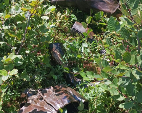 She thought finding a stolen Amelia Earhart statue would come with a hefty reward. It only damaged her reputation