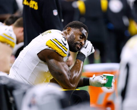 Steelers receiver DK Metcalf swipes at Lions fan leaning over railing in front row