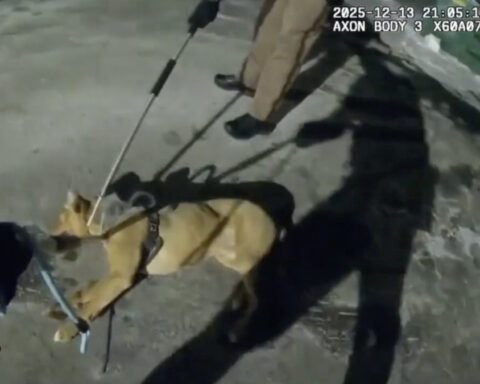 Community members outraged after deputies kill 'aggressive' dog