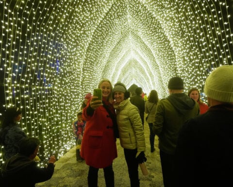 Golden Gate Park's dazzling holiday light display brings joy to the season