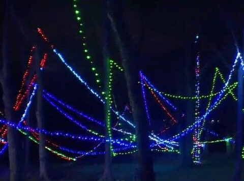 This Kansas homeowner says a bow and arrow 'comes in handy' for his stunning light display