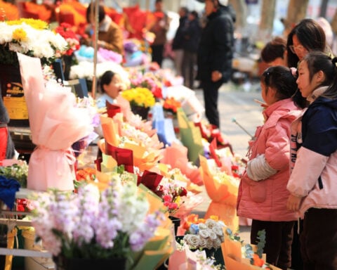 Soon you may be able to type a new Chinese character: the gender-neutral pronoun