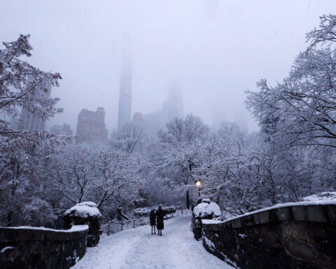Flight delays and cancellations pile up at JFK and LaGuardia as snowstorm jams post-Christmas travel in the Northeast