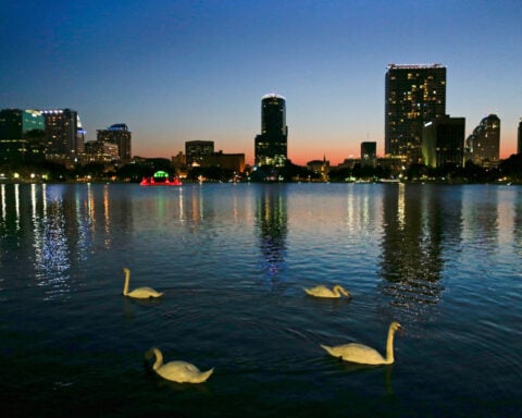 Officials suspect bird flu after 12 swans die at Orlando's Lake Eola