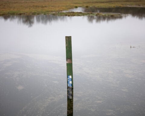 Hungary's 'water guardian' farmers fight back against desertification