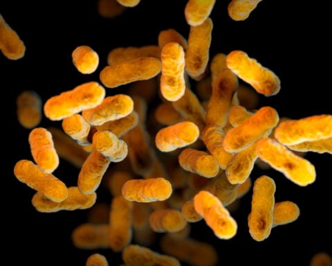 The US has seen nearly 28,000 whooping cough cases this year. Here’s what you need to know