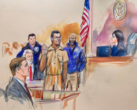 Alleged DC pipe bomber appears at detention hearing as his attorneys argue he should be released from jail