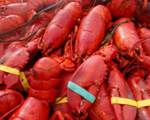 Oysters, crab and $400,000 worth of lobster meat stolen in New England
