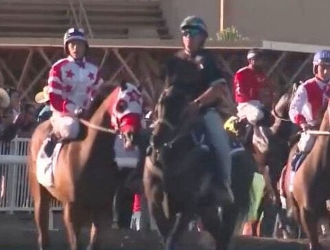 Racehorse tests positive for meth, trainer challenges suspension