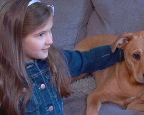 She wanted to help 10 dogs find forever homes by her 7th birthday. How a Massachusetts girl's goal helped her heal.