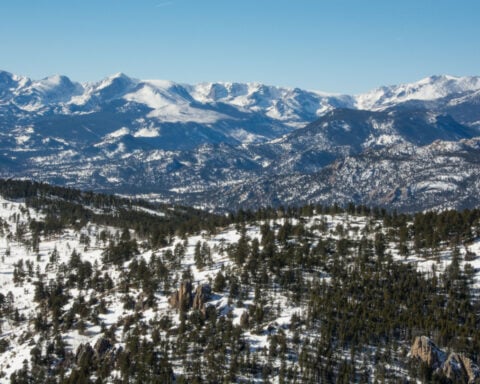 Woman dies in suspected mountain lion attack