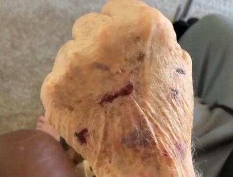 81-year-old man's mailbox note leads to his caregivers arrest