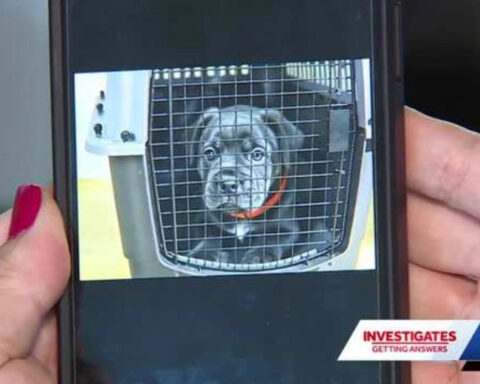 Olathe woman scammed out of $1,500 in Facebook puppy purchase