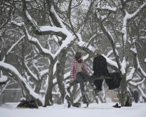 Snow and ice ground flights and choke highways in parts of Europe