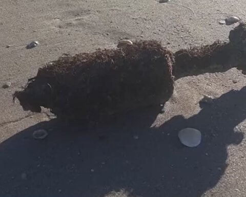 Diver finds WWII era explosive off coast of Fort Pierce