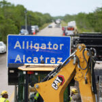 Officials withheld evidence on Florida's 'Alligator Alcatraz' funding, environmental groups say
