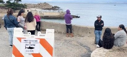 Swimmer died from shark attack off California coast, coroner confirms