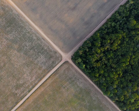 Brazil soy industry’s exit from moratorium on using Amazon land could spur deforestation