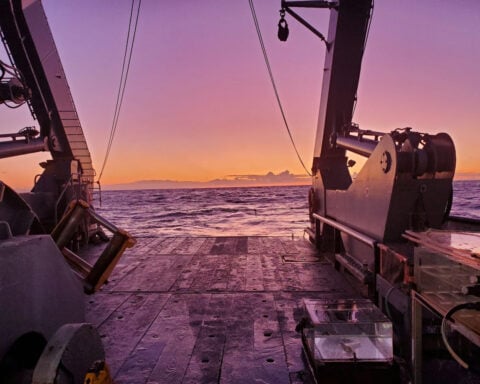 Viruses aren’t all bad: In the ocean, some help fuel the food web – a new study shows how