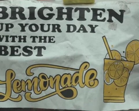 Who are Pittsburgh's lemonade twins? Social media posts raise concerns.