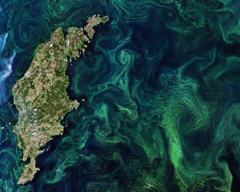 Climate engineering would alter the oceans, reshaping marine life – new study examines each method’s risks