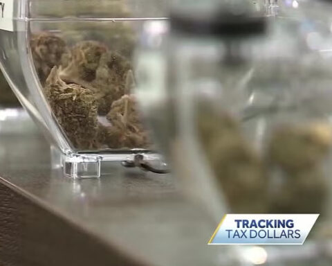 Proposed amendment would eliminate limits and expand marijuana protections