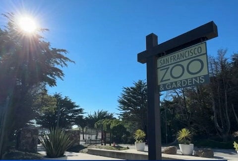 Is it time to tear down the aging SF Zoo? A campaign to replace it with an ecological park has begun