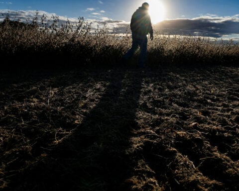 American farmers, who once fed the world, face a volatile global market with diminishing federal backing