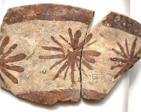 These ancient designs may be the first evidence of humans doing math