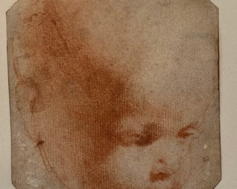 Genetic clues may be hiding in Leonardo da Vinci’s artwork
