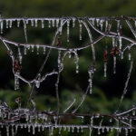 Blast of winter weather hitting Midwest, East Coast and could bring snow to Florida