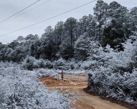 Small part of Sunshine State becomes Snowy State as Florida gets snow for 2nd year in a row