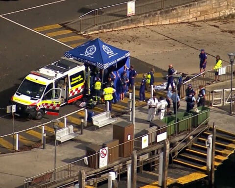 Three Sydney shark attacks in 26 hours leave two in critical condition
