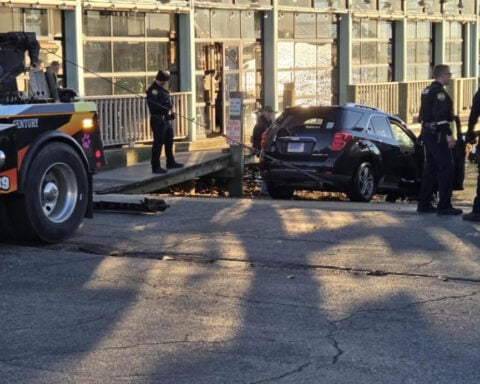 Daring rescue after woman drives into water