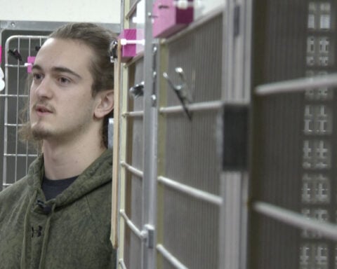 High school students help rebuild dog daycare after deadly fire