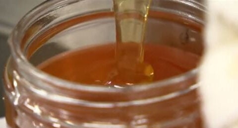 Sweet Beginnings urban beehives helping former prisoners build new lives