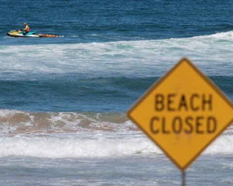 Four shark attacks in two days. Why Australia’s beaches are so dangerous this year