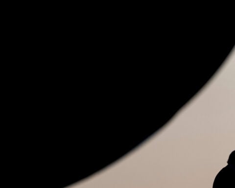 Despite Greenland, France's Macron and NATO's head make nice with Trump behind the scenes