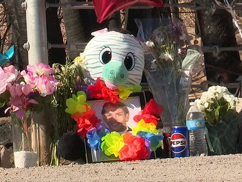 Family mourns 19-year-old found dead after massive fire at Whitney Mesa Park in Henderson