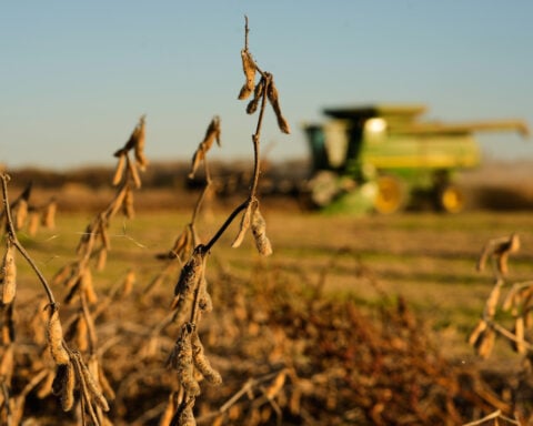 China meets initial soybean purchase goal, but Trump's shifting trade policy could disrupt deal