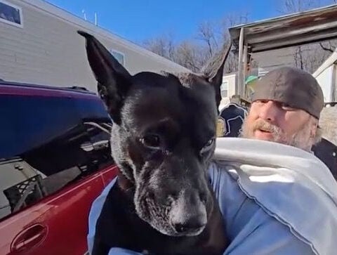 Firefighters save dog from frozen pond in Ohio
