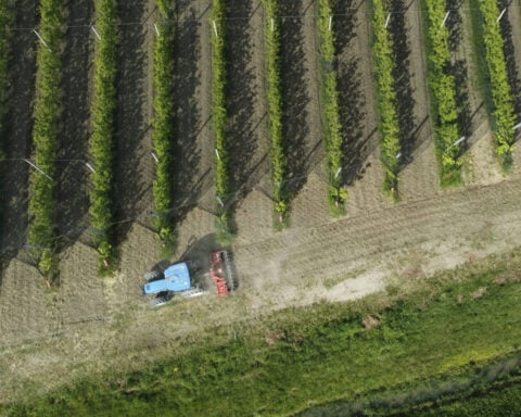 Despite its steep environmental costs, AI might also help save the planet