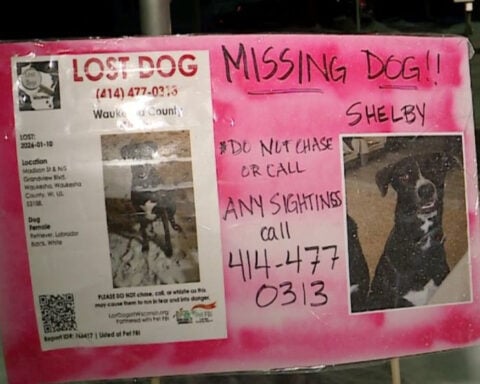 Waukesha family searches for beloved missing dog amid dangerously cold temperatures