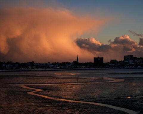 ICE activity increases in Maine as anxiety grows in immigrant communities